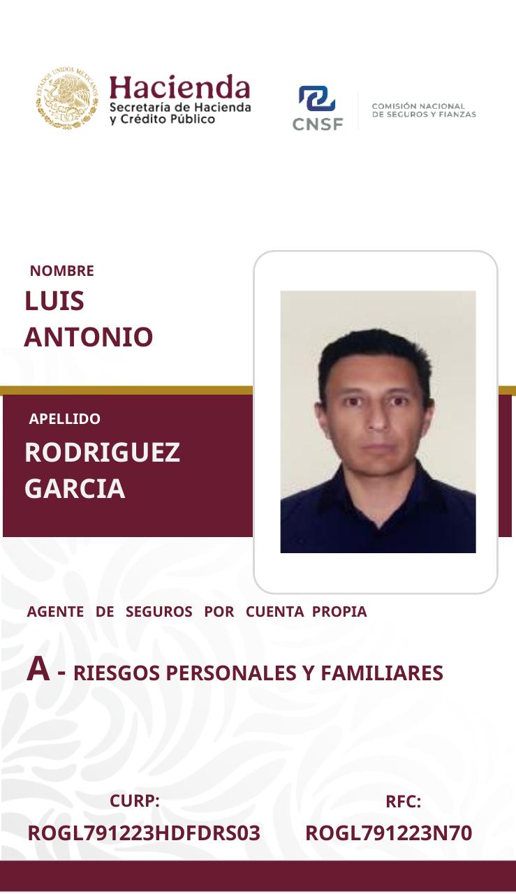 Cédula profesional CNSF de Luis Rodríguez, anverso